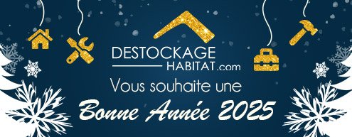 Bonne année 2025 à tous nos fidèles internautes !